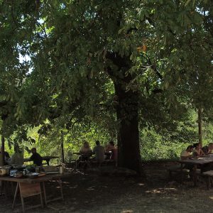 Tourisme écologique, Hébergement Hôtel Gîte Réservez votre séjour