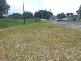 Tourisme écologique, Hébergement Hôtel Gîte Réservez votre séjour