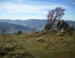 Tourisme écologique, Hébergement Hôtel Gîte Réservez votre séjour