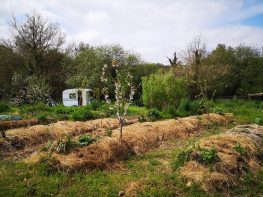 Tourisme écologique, Hébergement Hôtel Gîte Réservez votre séjour