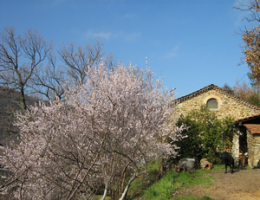 Tourisme écologique, Hébergement Hôtel Gîte Réservez votre séjour