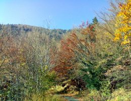 Tourisme écologique, Hébergement Hôtel Gîte Réservez votre séjour