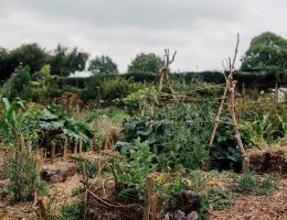 Tourisme écologique, Hébergement Hôtel Gîte Réservez votre séjour